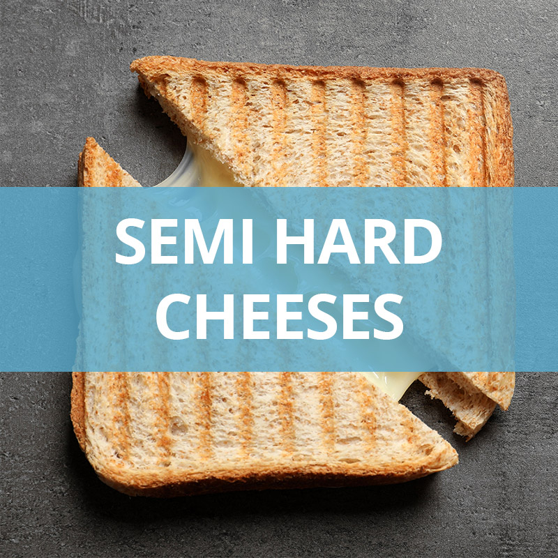 SEMI HARD CHEESES